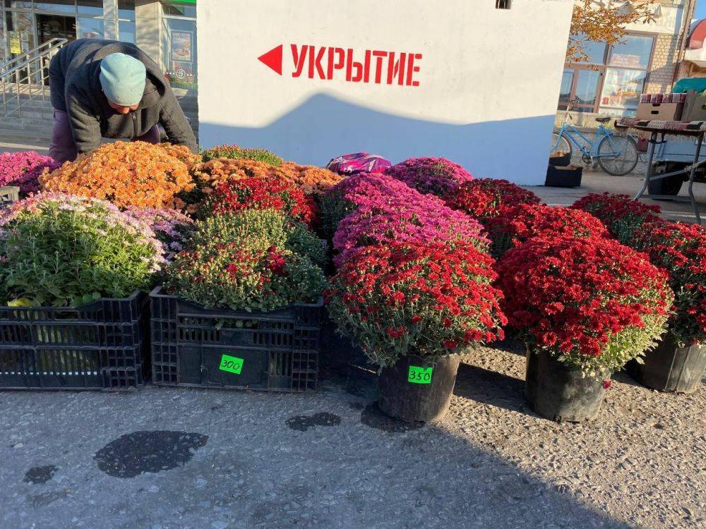 Традиционная сельскохозяйственная ярмарка вновь прошла в Чернянке в минувшие выходные, и как всегда, порадовала посетителей разнообразием товаров! На ярмарке можно было найти свежие овощи и фрукты, живую рыбу, мясные изделия и много других вкусностей