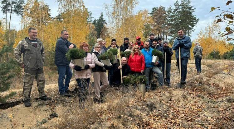 В Белгороде высадили 8 000 сеянцев обыкновенной и крымской сосны