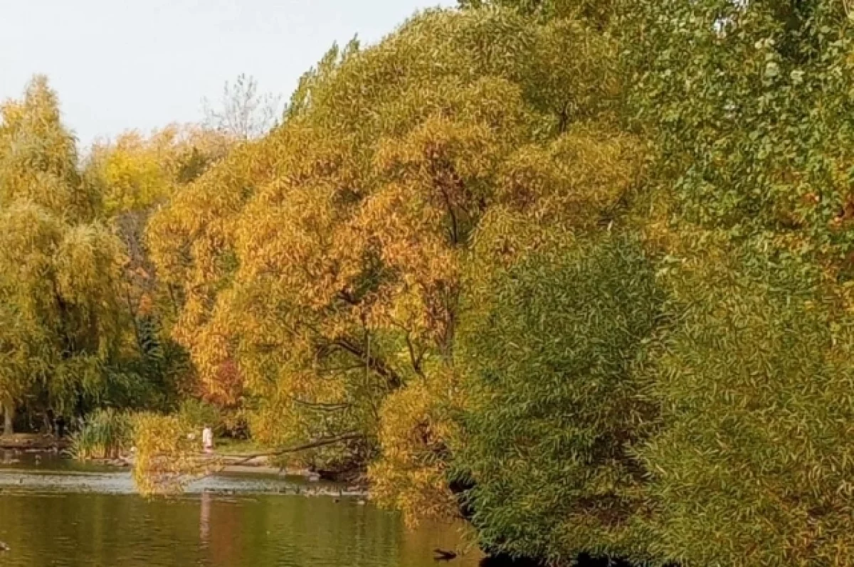 Вторник на Белгородчине будет дождливым0