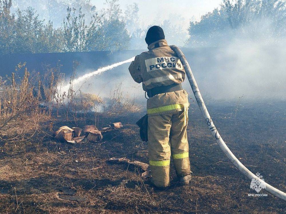 В Белгородской области за сутки ликвидировано восемь ландшафтных пожаров