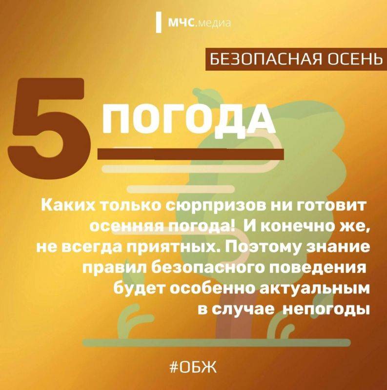 «Унылая пора! Очей очарованье!»… Так писал про осень великий Пушкин