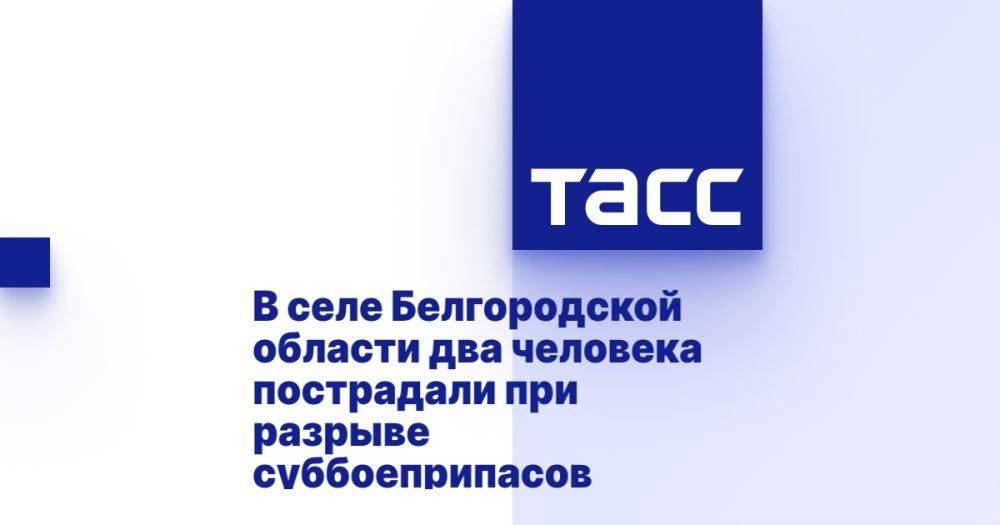 В селе Белгородской области два человека пострадали при разрыве суббоеприпасов