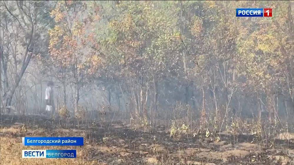 В Таврово серьезный ландшафтный пожар