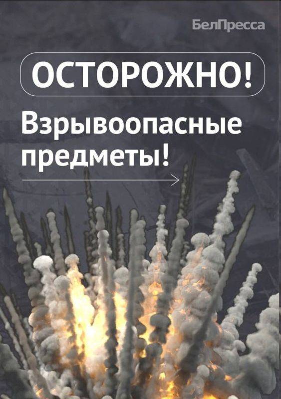 На территории Шебекинского округа найдены суббоеприпасы «колокольчик»