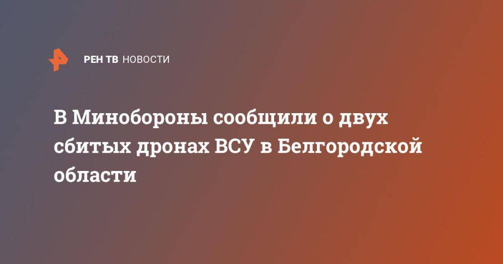 В Минобороны сообщили о двух сбитых дронах ВСУ в Белгородской области