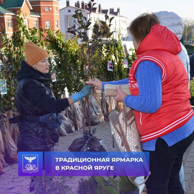 В Красной Яруги прошла традиционная продовольственная ярмарка