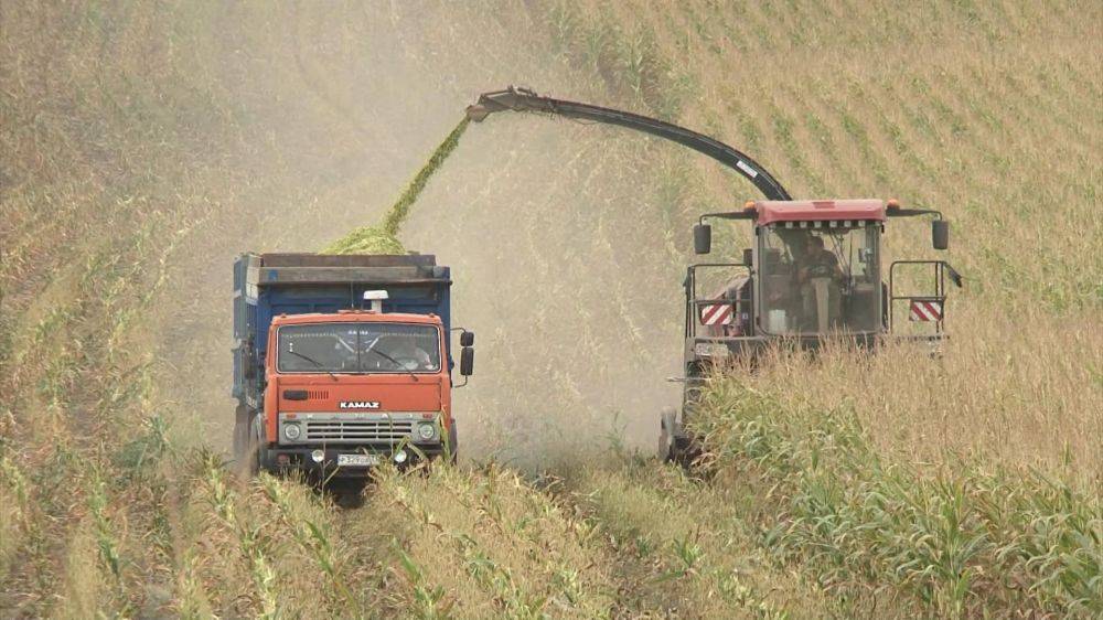 В Красногвардейском районе завершён сев озимых культур