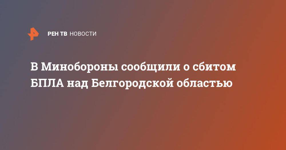 В Минобороны сообщили о сбитом БПЛА над Белгородской областью