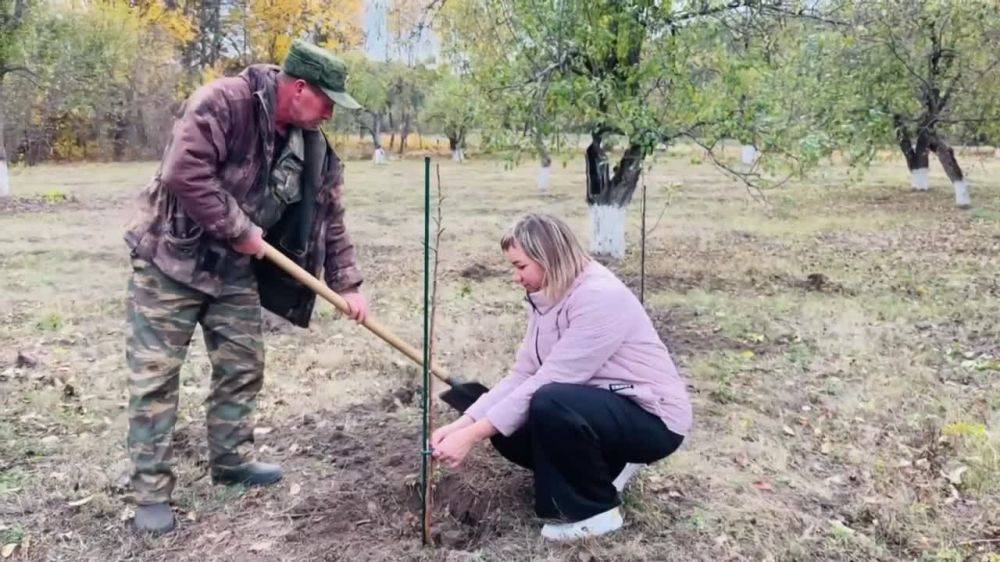 Татьяна Круглякова: Дорогие друзья!. В нашем районе прошло замечательное экологическое мероприятие! На территории детского оздоровительного центра «Орбита» было высажено 100 саженцев яблони и груши