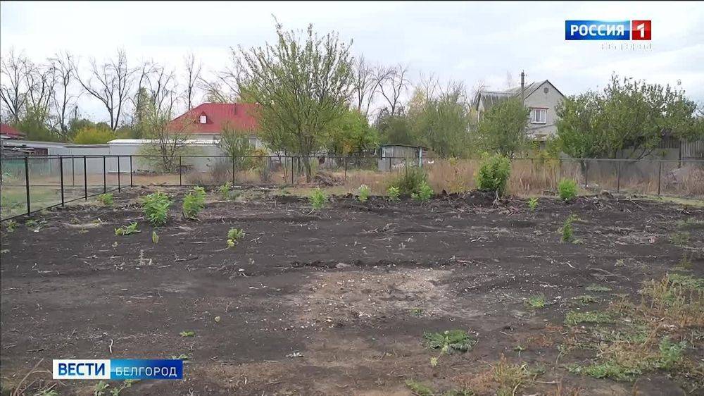 В Валуйском округе строят дома для жителей приграничья, вынужденно покинувших родные села, где введен режим ЧС. Это Логачевка, Вериговка, Бутырки и Бирюч