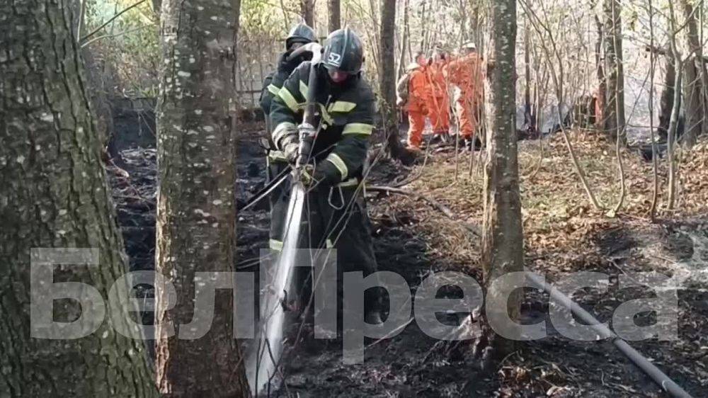 Корреспондент «БелПрессы» находится в Масловой Пристани, где сейчас происходит тушение пожара