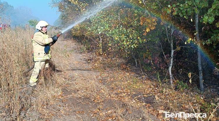 В Белгороде отработали условное тушение лесного пожара