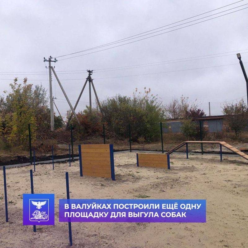 В Валуйках появилась ещё одна площадка для выгула и дрессировки собак