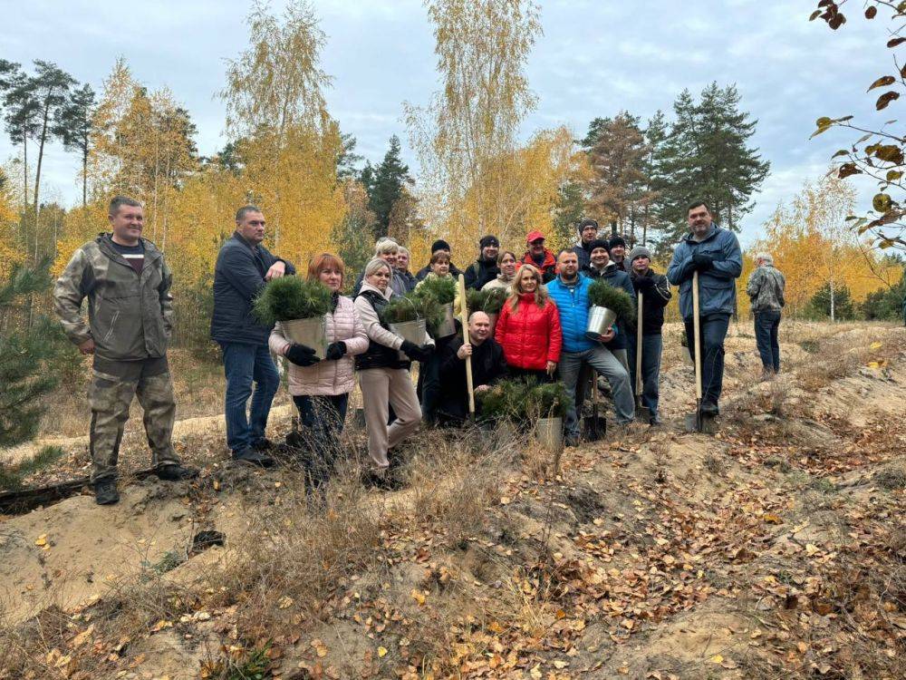 В Белгороде проводят работы по лесовосстановлению