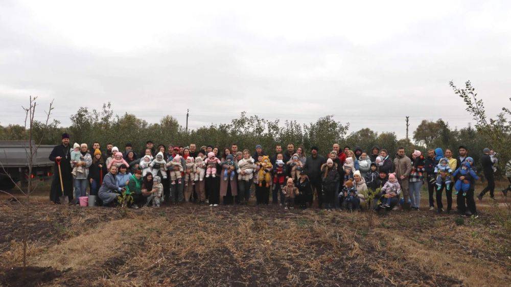 На аллее новорождённых в Чернянке высадили 50 новых саженцев