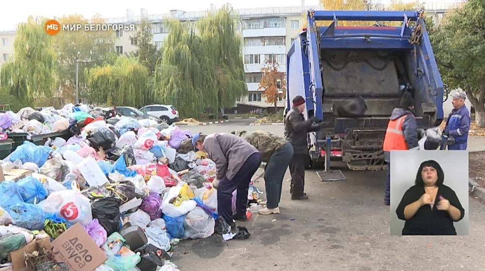 Проблему вывоза мусора в регионе обещают решить до конца ноября