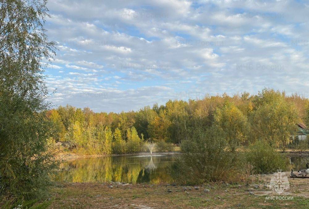 В регионе сохраняется тёплая погода и переменная облачность