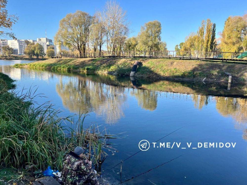 В Белгороде продолжат благоустройство набережной Северского Донца