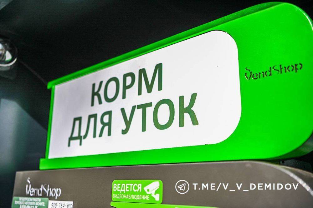 Валентин Демидов: Наталия Вострикова из Белгорода придумала проект, который помог в решении проблемы с кормлением уток неподходящим кормом в парке Победы