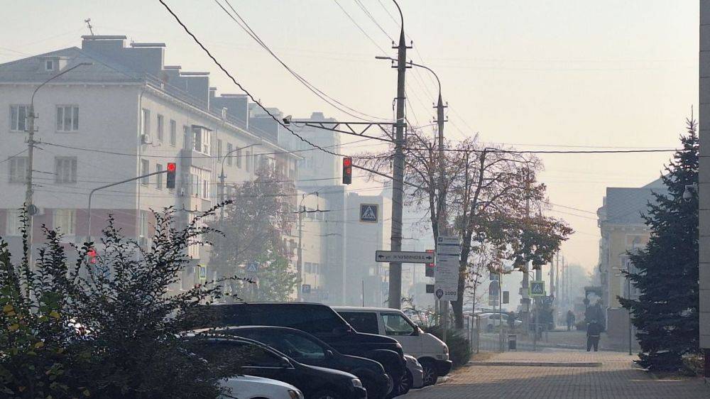 Гарь и дымка в Белгороде и районе связаны с горением торфяников в Масловой Пристани