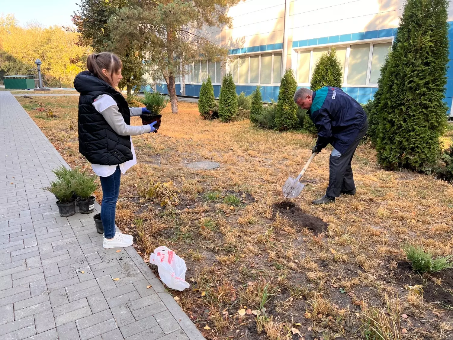 Экоактивисты «Сибагро» в Старом Осколе посадили свыше 100 растений возле спортшколы8