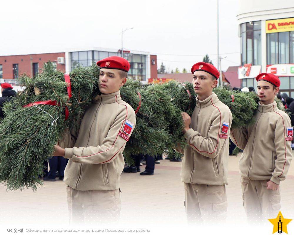 Сегодня в Прохоровском районе прошёл День призывника