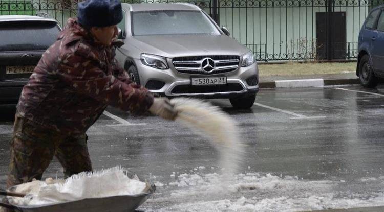 В Белгороде заготовили на зиму 90 % песка и соли из запланированного