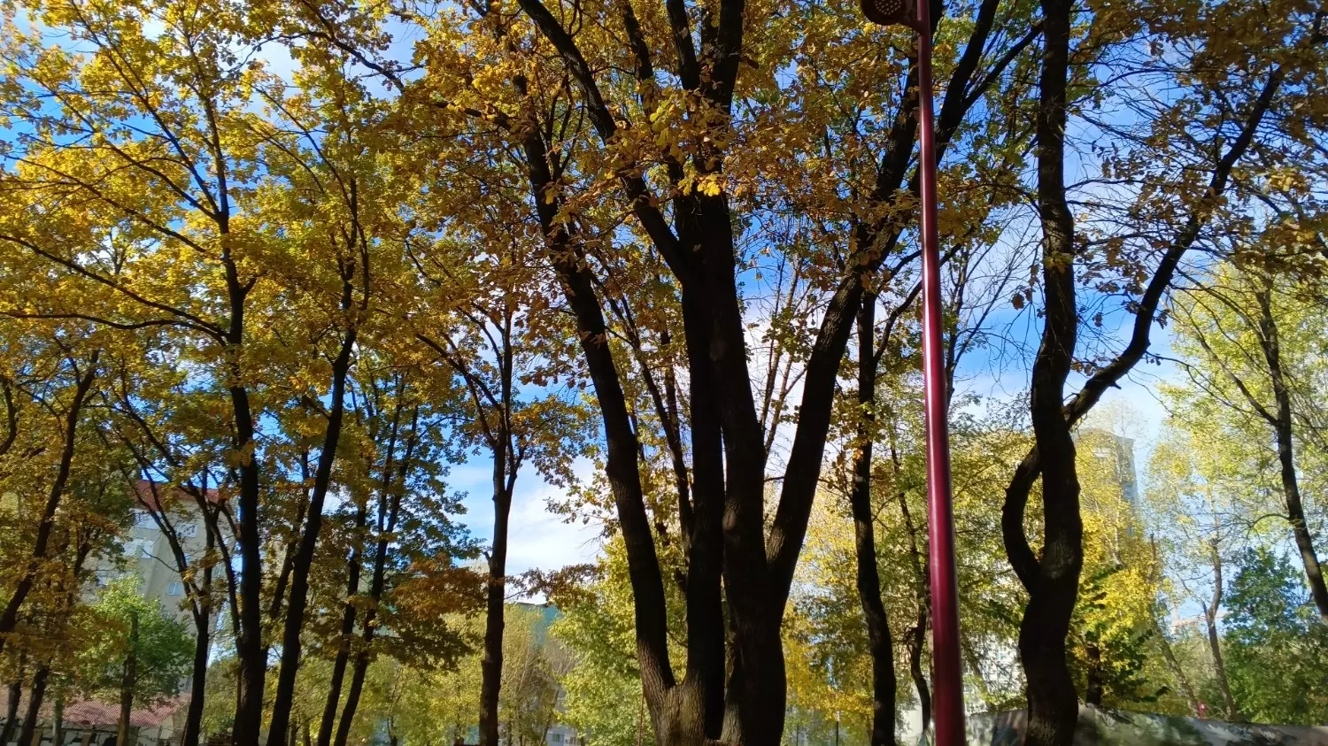 Осенний парк Ленина в Белгороде