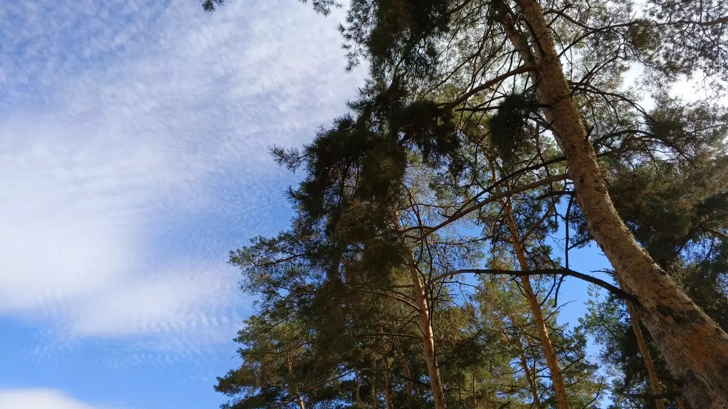 Осенний парк Ленина в Белгороде