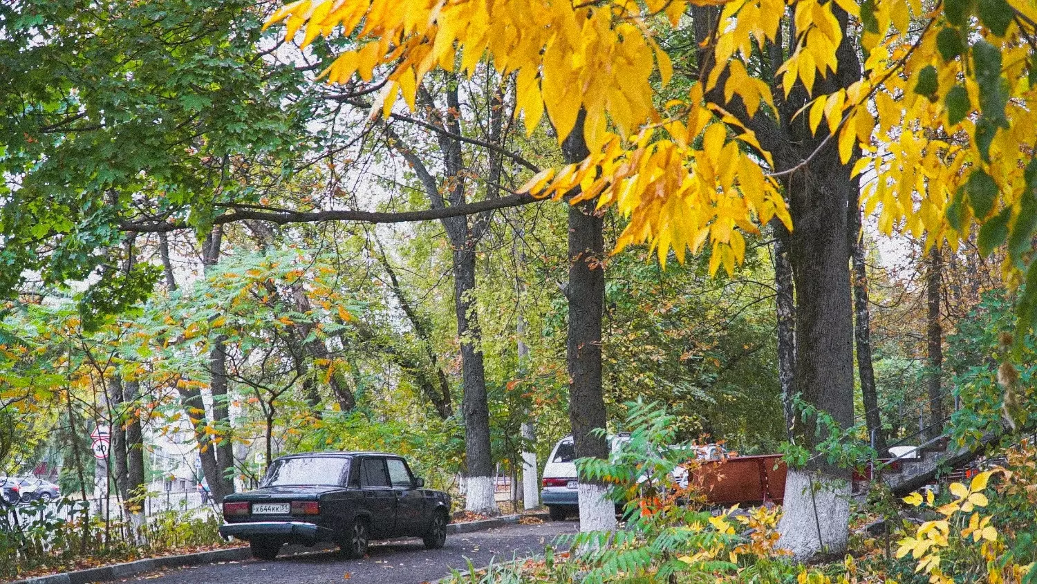 Проросшие мешки у укрытий и пейзаж: в Белгороде неожиданно наступила осень8