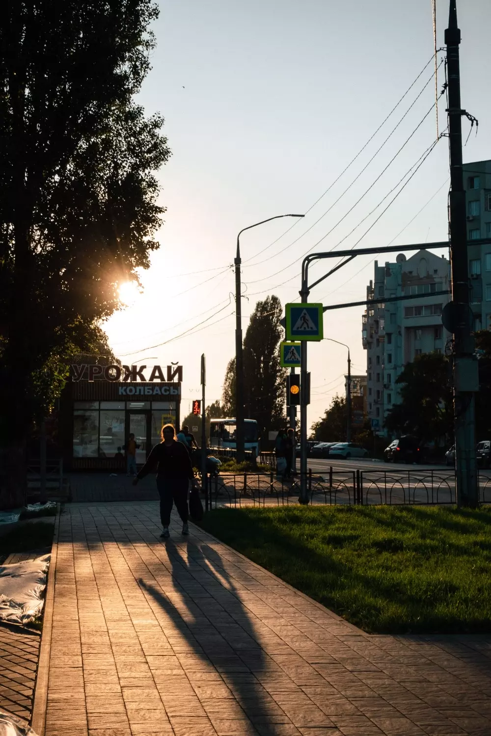 Проживать эту жизнь, а не её видимость: почему жить в Белгороде — хорошо?41