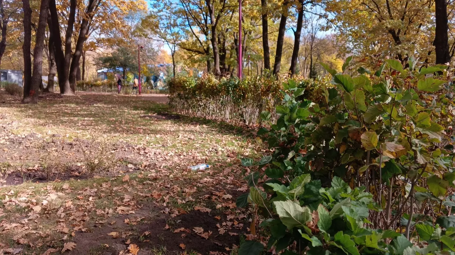 Осенний Центральный парк в Белгороде