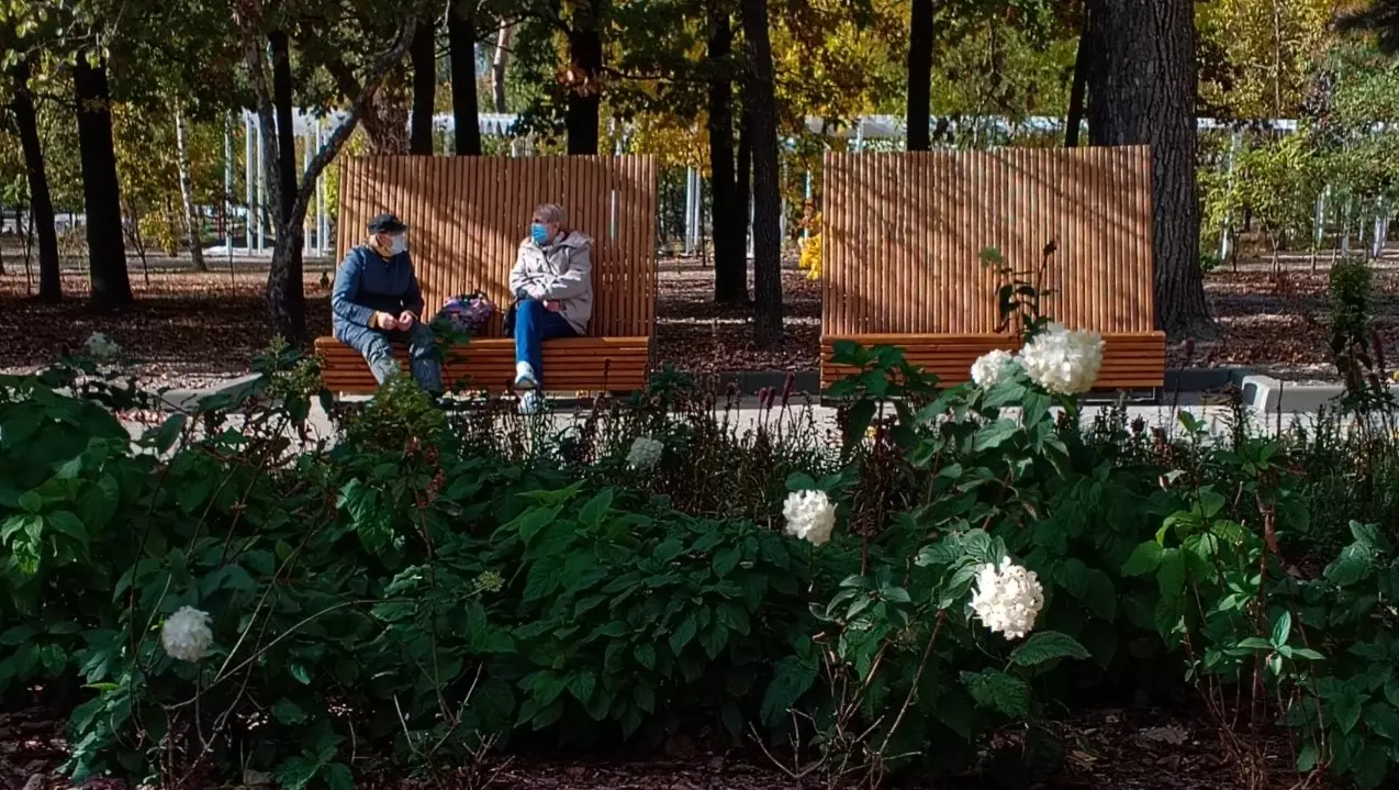 Сезонные изюминки: по какому принципу в Белгороде оформляют цветники к весне и осени?13