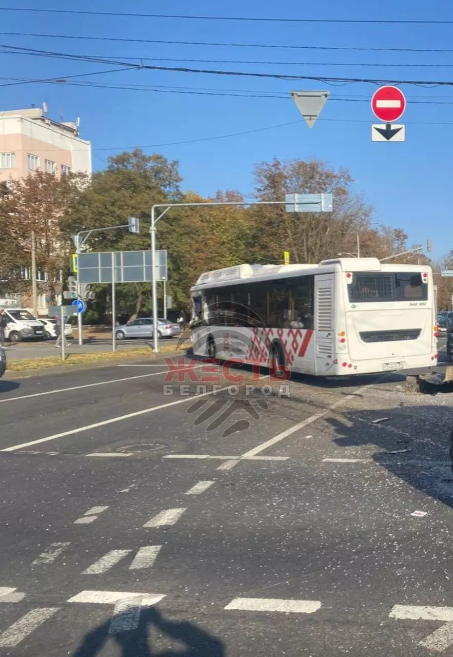 В Белгороде в ДТП с участием автобуса пострадали три женщины2