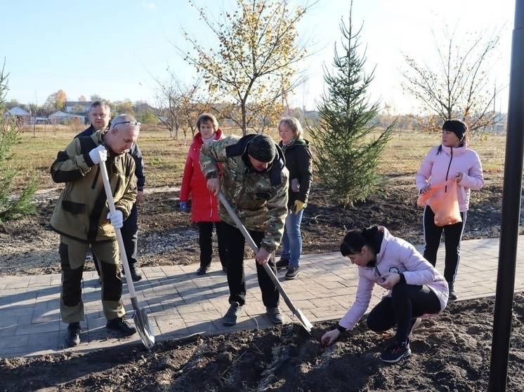 Волоконовцы отметили День посадки тюльпанов