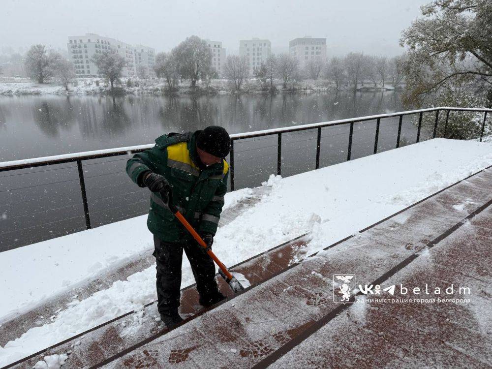 Пока белгородцы радуются первому снегу, коммунальщики вовсю расчищают тротуары и дороги