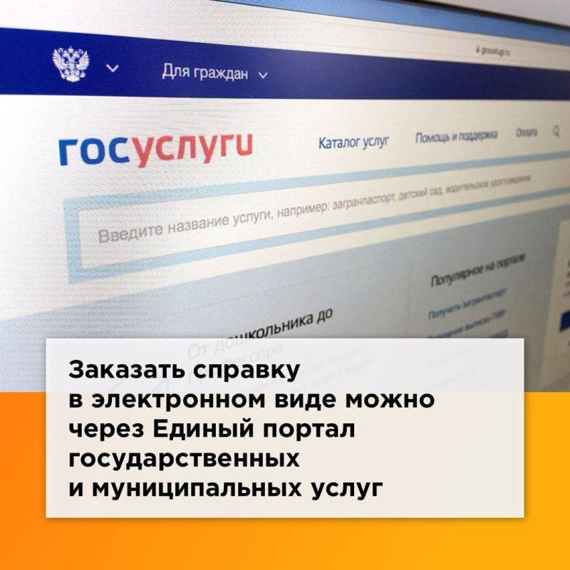 Светлана Халеева: C 1 ноября в России введена система бездокументационного подтверждения статуса участника специальной военной операции