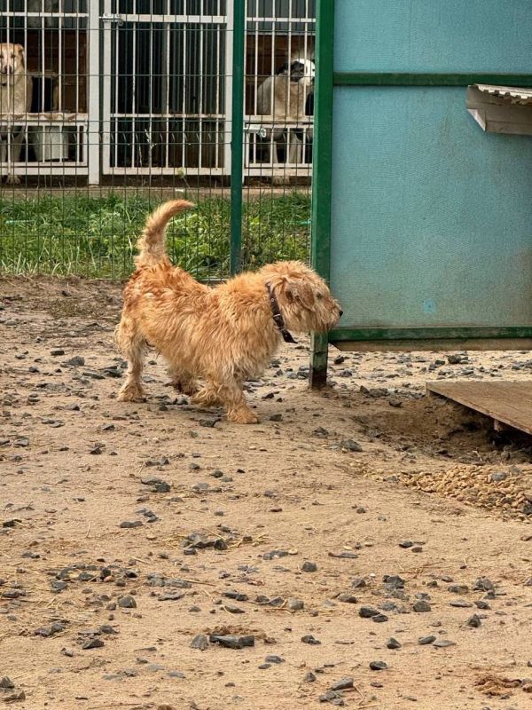 Дорогие друзья, задумывались ли вы, что такое доброта?