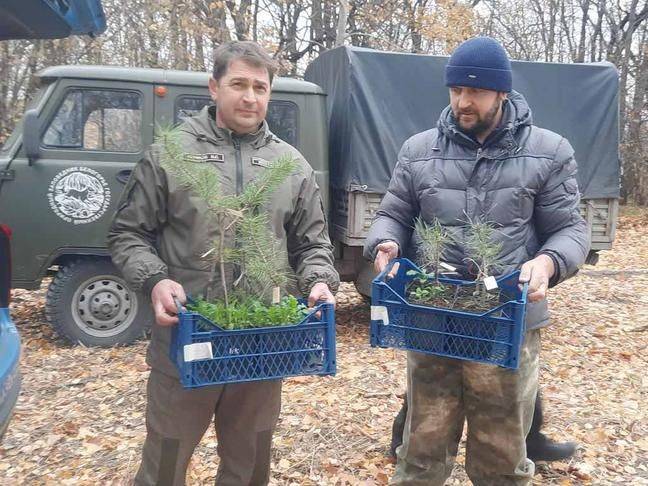 Заповеднику «Белогорье» передали 10 саженцев-клонов уникальной сосны меловой