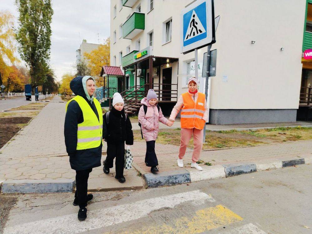 В Белгородской области родительские активы продолжают просветительскую работу по пропаганде безопасности дорожного движения