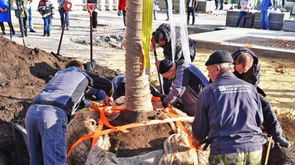 Возле одной из строящихся школ Белгородского района высадили «дуб мудрости»