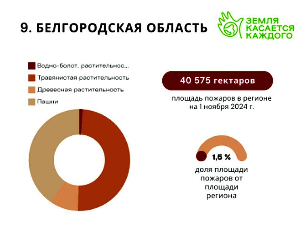 Белгородская область заняла девятое место по числу природных пожаров в России