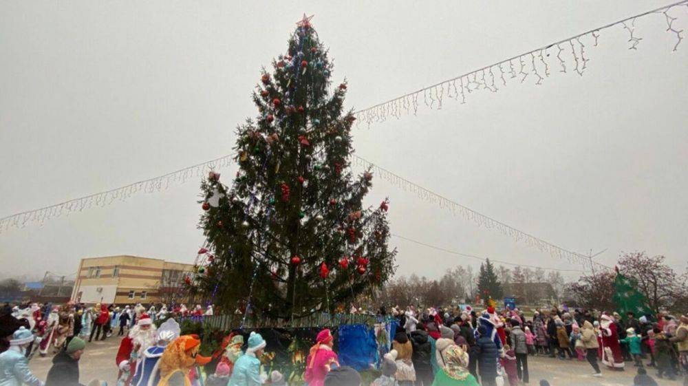 1 В Шебекино Белгородской области не будут ставить в этом году новогодние ели