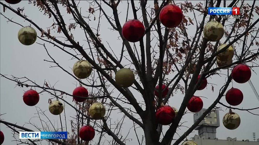 Белгород украшают к Новому году