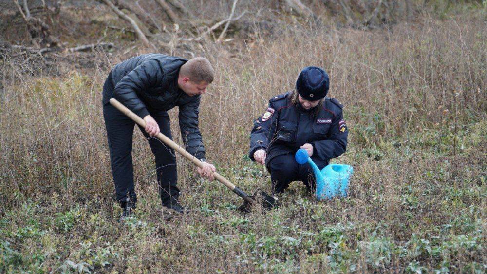 В год столетия службы участковых инспекторов на велолыжероллерной трассе была высажена берёзовая аллея