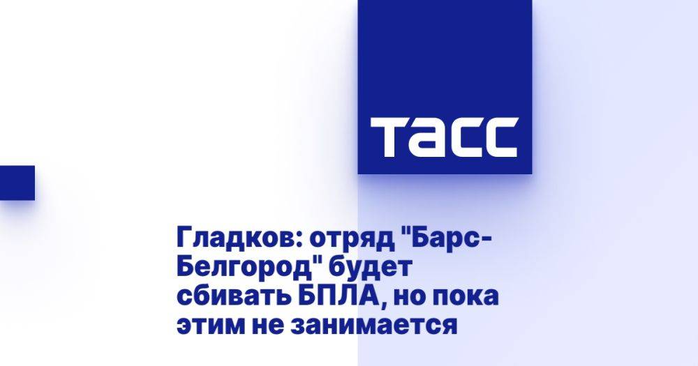 Гладков: отряд &quot;Барс-Белгород&quot; будет сбивать БПЛА, но пока этим не занимается