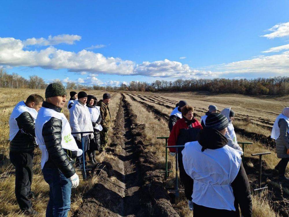 В Белгородской области продолжается лесовосстановительная акция «Сохраним лес»