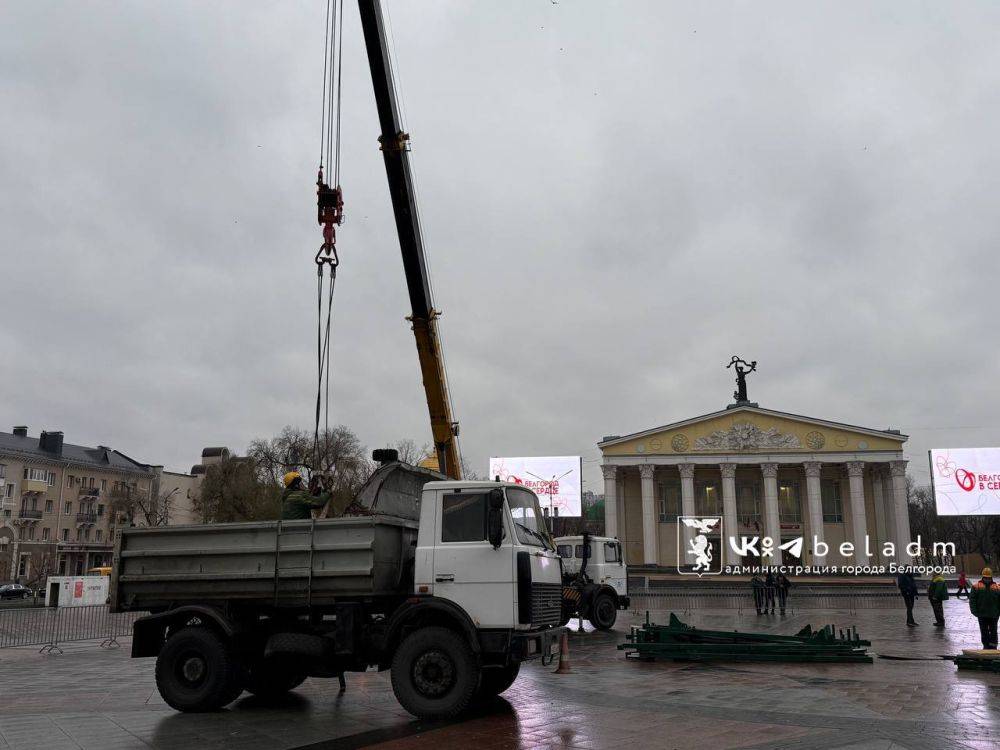 В Белгороде начали устанавливать новогоднюю ёлку