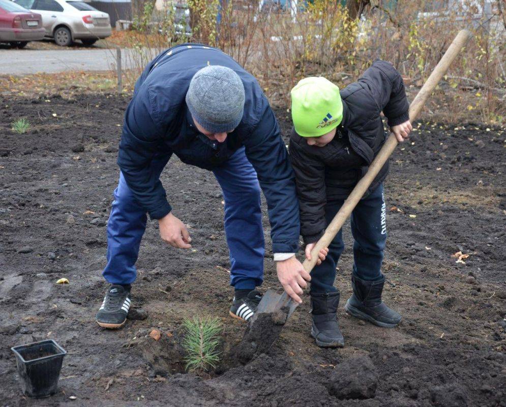 В поселке Отрадовский открылся парк семейных деревьев