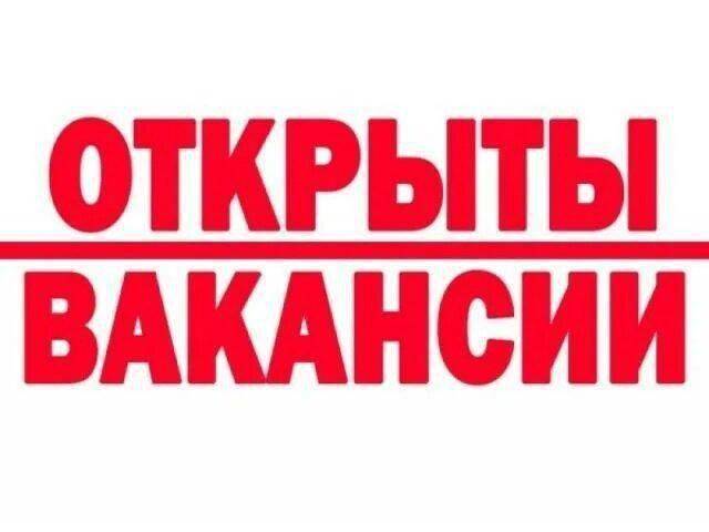 Администрации Борисовского района требуются: главный специалист по ремонту, строительству и техническому надзору, главный специалист по дорожной деятельности и транспорту, главный специалист по управлению и контролю за проектами